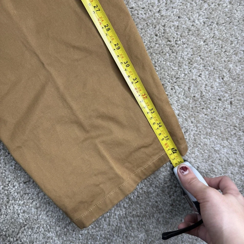 Levis levis 541